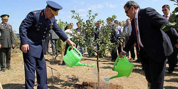 Şehitlerin hatırası için 2,3 milyon fidan dikildi