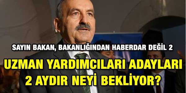 Salk uzman yardmclar 2 aydr bekliyor