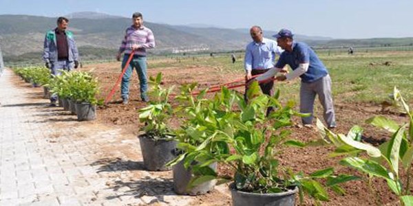 Mahkemeden ilginç 'ceza'
