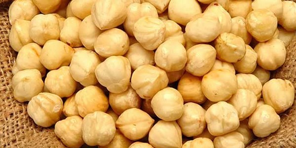 Fındık fiyatları tarihin en yükseğine çıktı