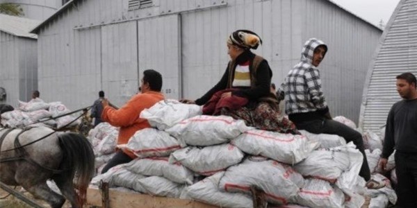 İhtiyaç sahiplerine kömür yardımı yapılacak