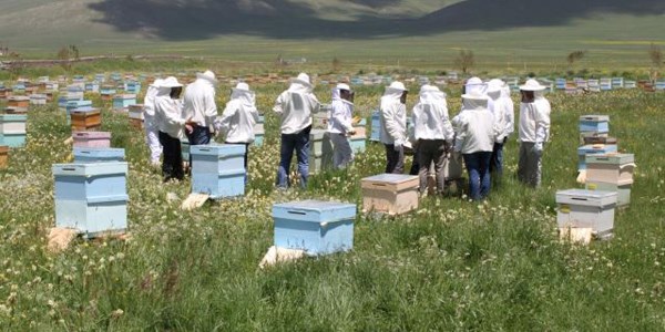 Kuraklık, balı teğet geçecek