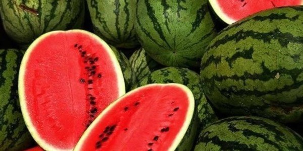 Karpuz numarasına dikkat