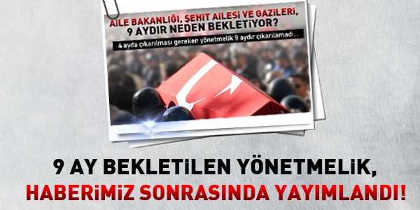 Şehit ve gazi yakınlarına iş hakkına dair yönetmelik