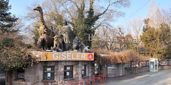 Belediye'den, TÜBİTAK'a müdür yardımcısı olarak atandı