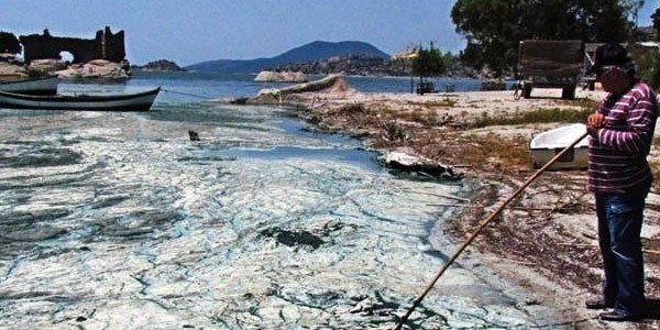 Yeşile dönen Bafa Gölü köpürdü