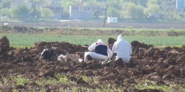 Ceylanpınar'a 2 top mermisi düştü