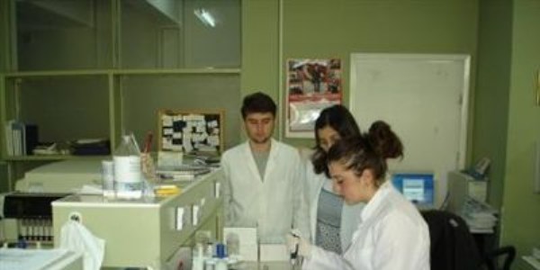 Tıbbi Laboratuvar, sağlık memurluğunun üst öğrenimi sayıldı