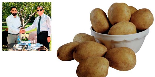 Patates vurguncusuna baskın