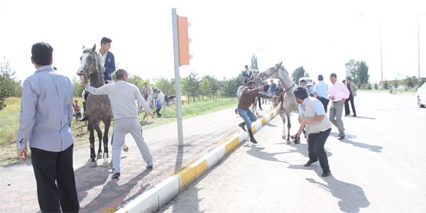 Erdoğan'a eskortluk eden helikopterler atlı ekibi korkuttu