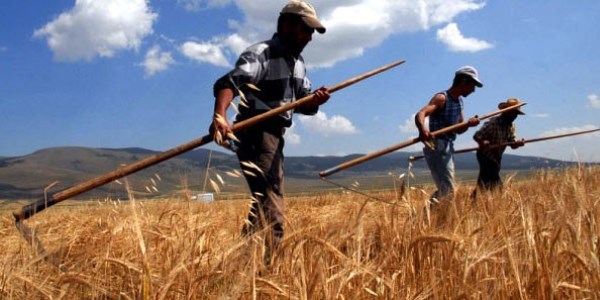 Çiftçinin şirketi SPK denetiminden çıkarıldı