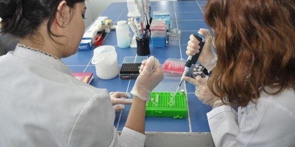 Genler akademik başarıda etkili
