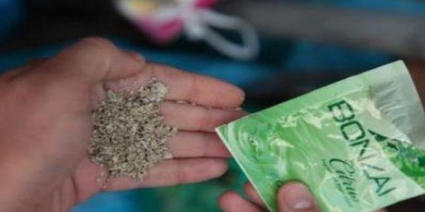 Sağlık Bakanlığı'ndan ürküten bonzai raporu