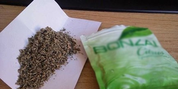 Sağlık Bakanı'ndan Bonzai açıklaması