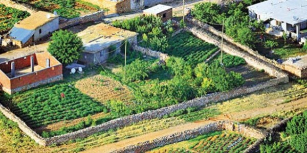 Kenevir eken artık serbest bırakılmayacak