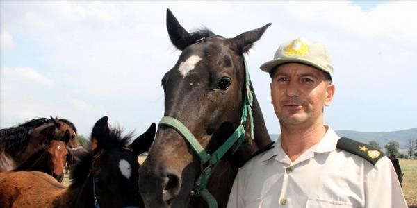 Mehmetçiğin göz bebeği atlar görücüye çıktı