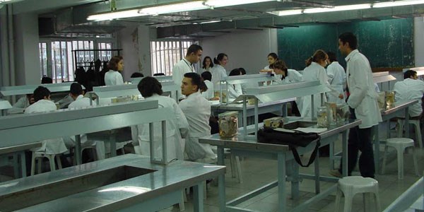 Doktor adaylarında korkutan yetersizlik!