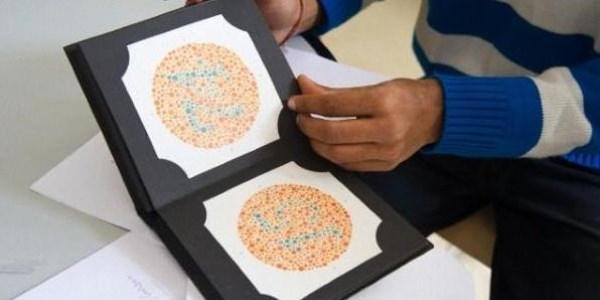 'Renk körleri asker ve polis olabilsin' talebi kabul edilmedi