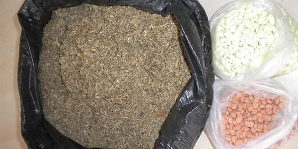 Bonzainin içinde böcek ve sinek ilacı bile var