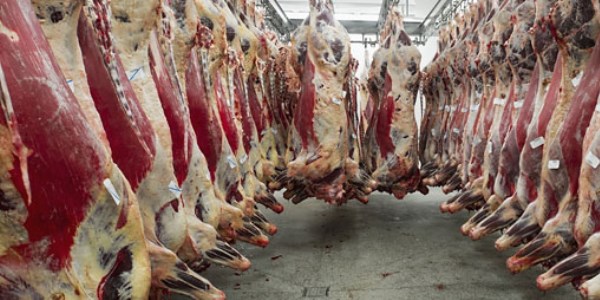 Bosna'dan 15 bin ton et geliyor
