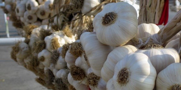Sarımsağın fiyatı yüzde 50 arttı