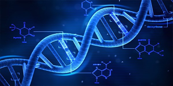Kanser, DNA'ya iz brakyor