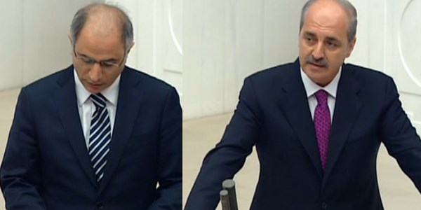 Kurtulmu ve Ala ant iti