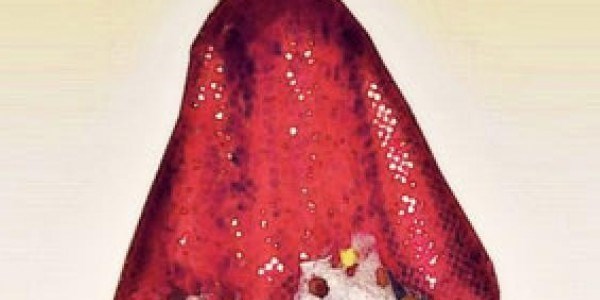 'Berdel' toplu iş sözleşmesine girdi