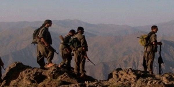 PKK Muş'ta 10 çocuğu kaçırdı