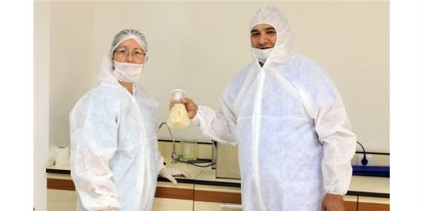 Bilim adamları sentetik kemik tozu üretti