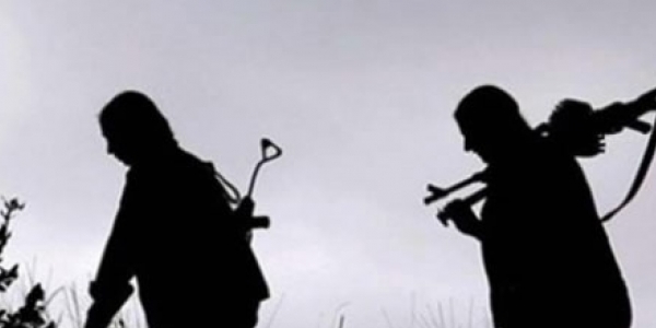 2 PKK'lı teslim oldu