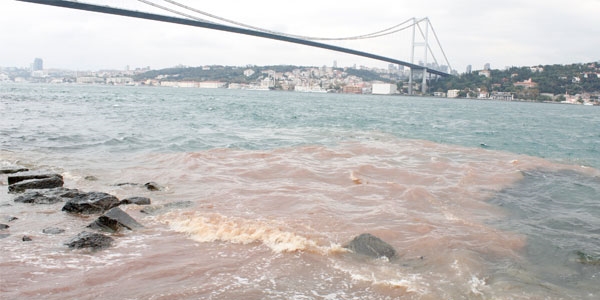 İstanbul Boğazı kan gölüne döndü