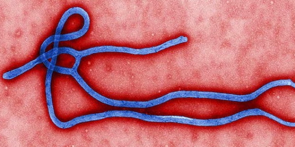 MEB'den Ebola hassasiyeti