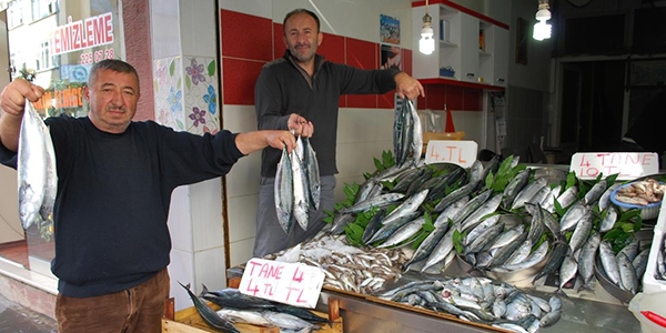 Palamut, Karadeniz'de 4 liraya kadar düştü