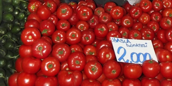 Domates fiyatı düşmeye başladı