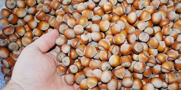 Kuruyemiş fiyatları cep yakıyor