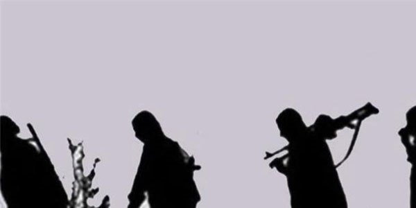 5 terörist Türkiye'ye giriş yaparken yakalandı