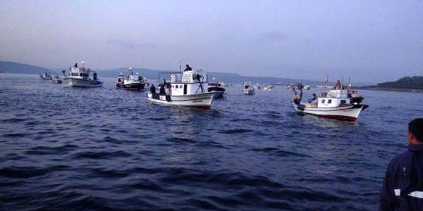 Lüfer, balıkçıların yüzünü güldürdü