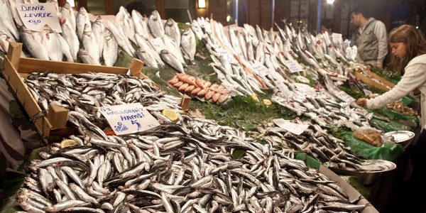 Batı Karadeniz'de balık fiyatları düşüyor