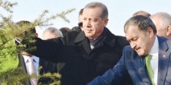 Eroğlu : 3 milyar 250 milyon fidan toprakla buluştu