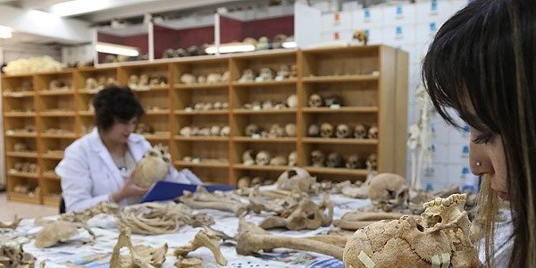 Anadolu'nun kemik koleksiyonu tarihe k tutuyor