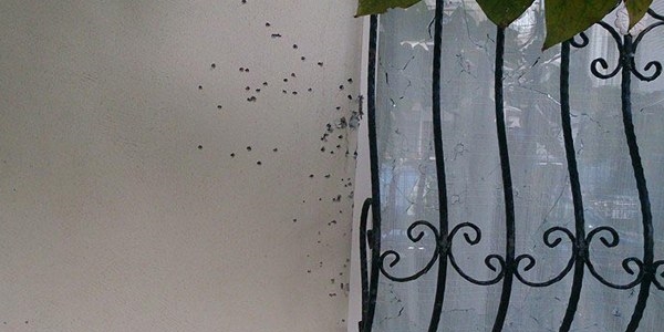 Balıkesir Edremit Belediye Başkanı'nın evine silahlı saldırı