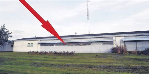 Paralel böcekleri buradan aldılar