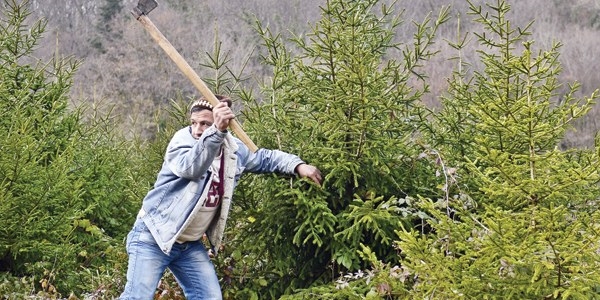Yılbaşı öncesi 'çam ağacı' tatbikatı