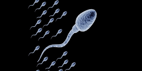 İnsan derisinden sperm ürettiler