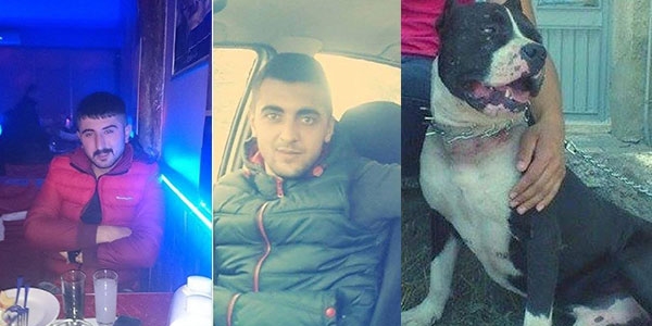 Polis pitbull'u vurarak durdurdu