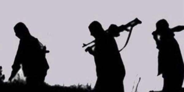 Hakkari'de 1 PKK'lı teslim oldu