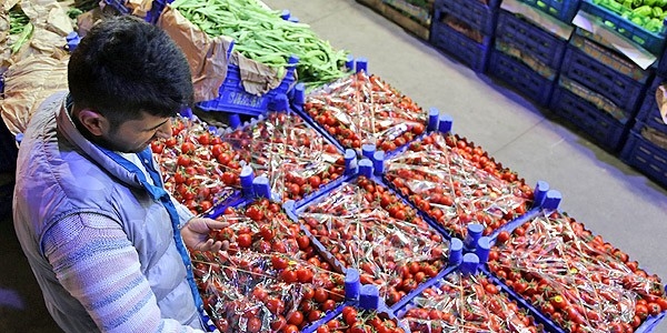 Kara kış meyve ve sebze fiyatlarını etkilemeyecek
