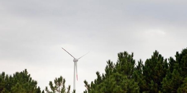 Tüm elektrik ihtiyacını rüzgardan karşılayacak