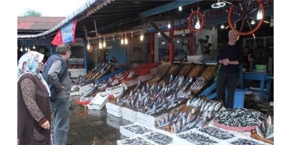 Hamsi üzüyor, palamut ve istavrit yüz güldürüyor